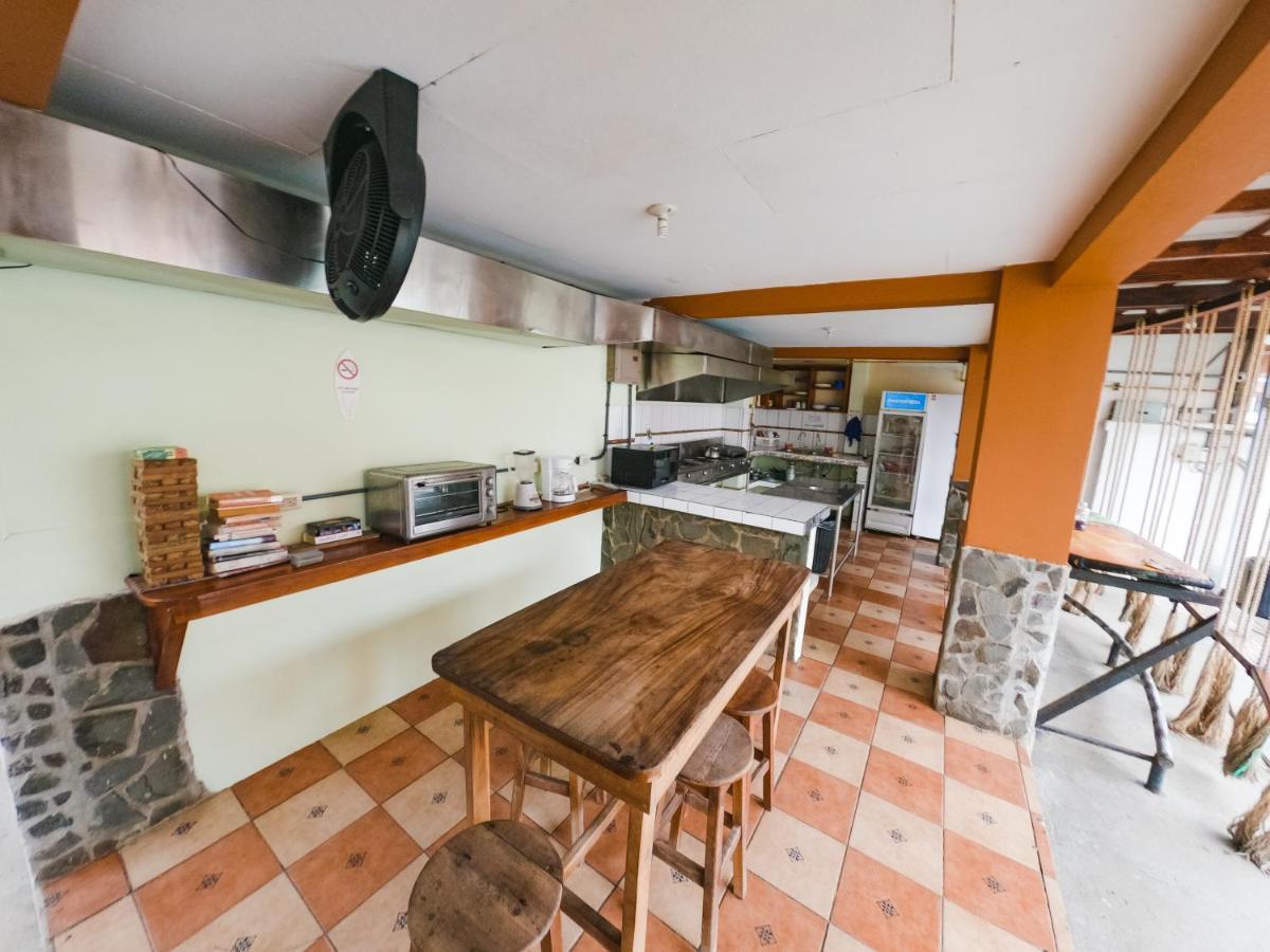 Hostel De Haan 哈科 外观 照片