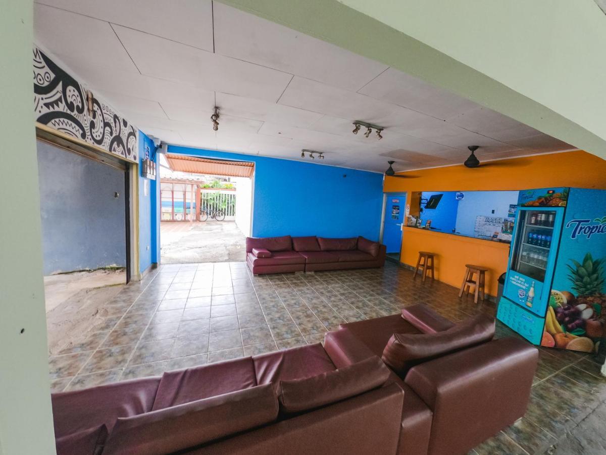 Hostel De Haan 哈科 外观 照片